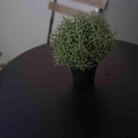 Luftiges Im Herzen Von * Dresde