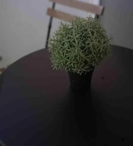 Luftiges Im Herzen Von * Drezda